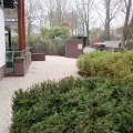 Aanleg tuin Loosdrecht met oprit van Gravel Fix